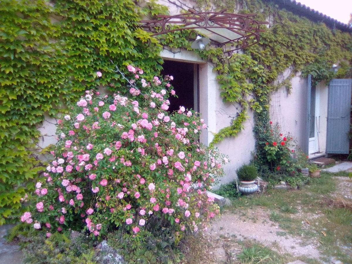 Le Domaine De Belle Panzió L'Isle-sur-la-Sorgue Kültér fotó